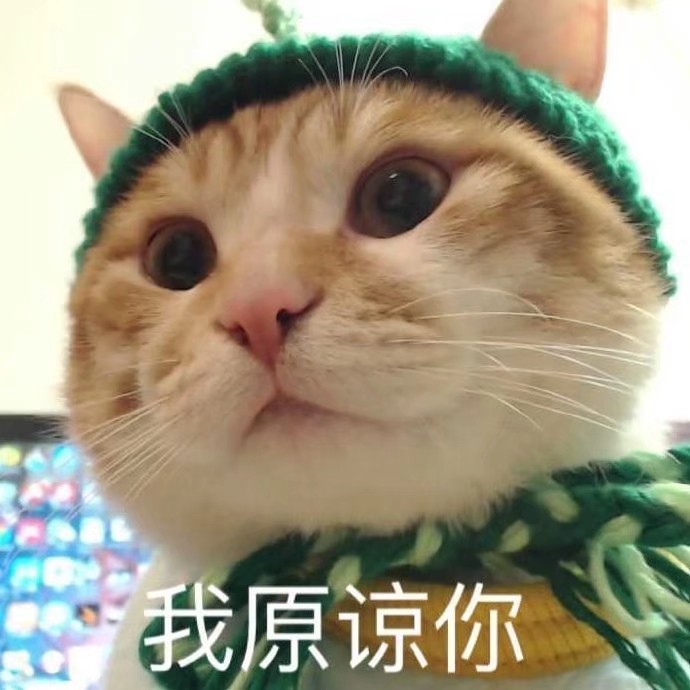 猫狗 头像 沙雕表情包