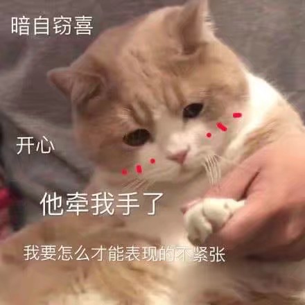 猫狗 头像 沙雕表情包