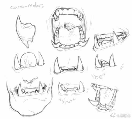 【牙齿的绘画素材】各类牙齿的参考素材