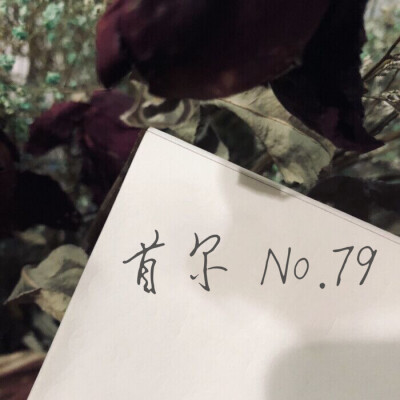 伪手写