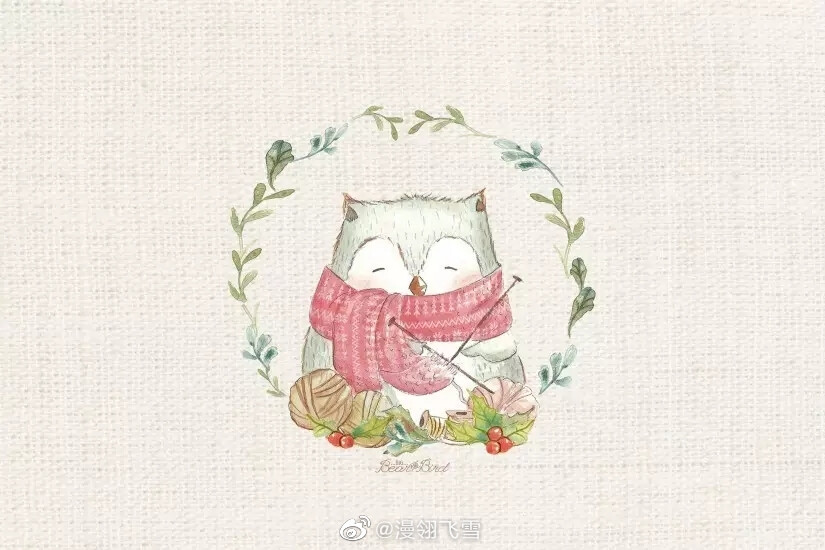 温暖治愈的可爱小动物 插画师sarah ameeyo