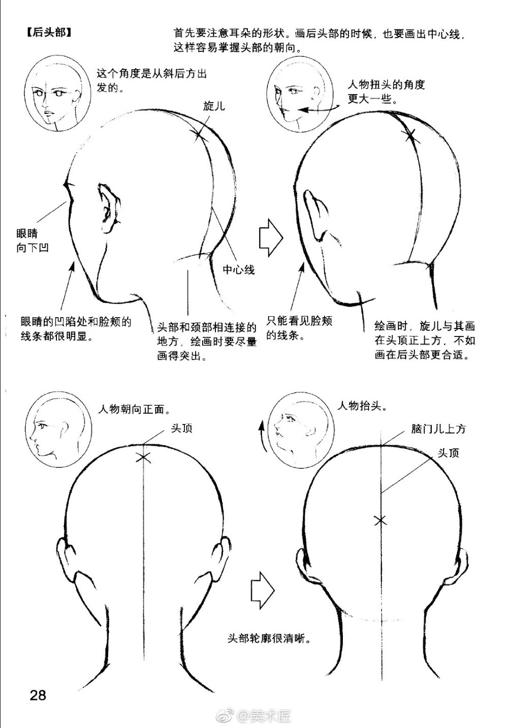 正脸侧脸画法教程