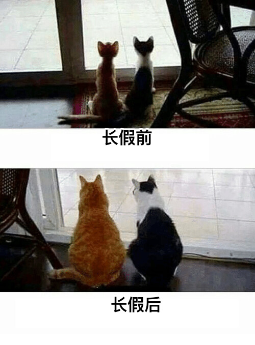 我们都一样～请不要互相嘲笑互相伤害#假期后一起胖成猪的我们