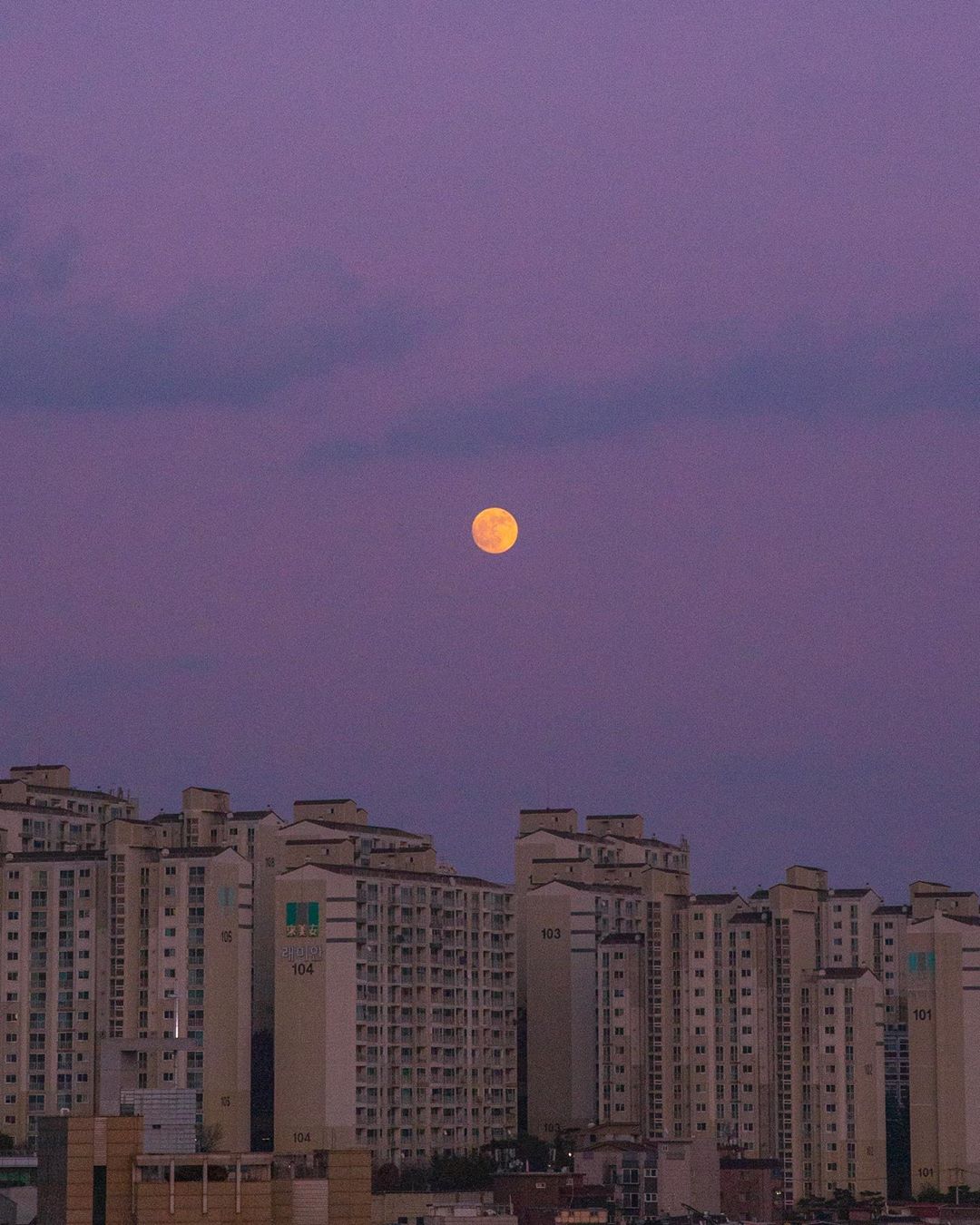 夜景/夕阳/紫色天空/城市生活/白云/玫瑰/静谧/晚安月亮/大海/枫叶