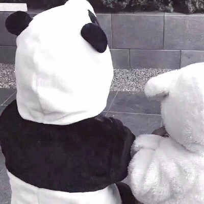 情侣头像 熊猫头