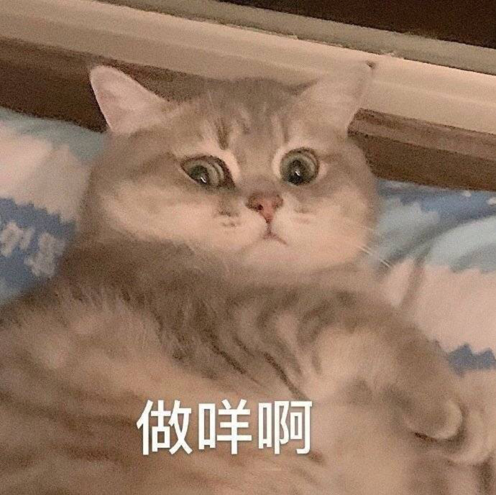 做咩啊