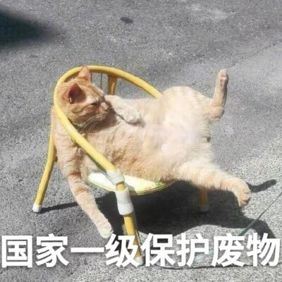 谁不是一个混吃等死的废物呢