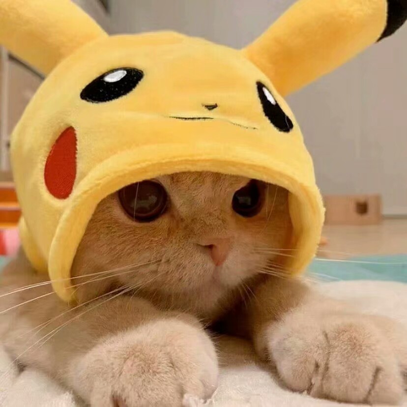猫 狗头像
