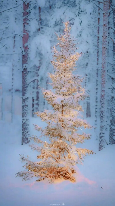 有雪壁纸