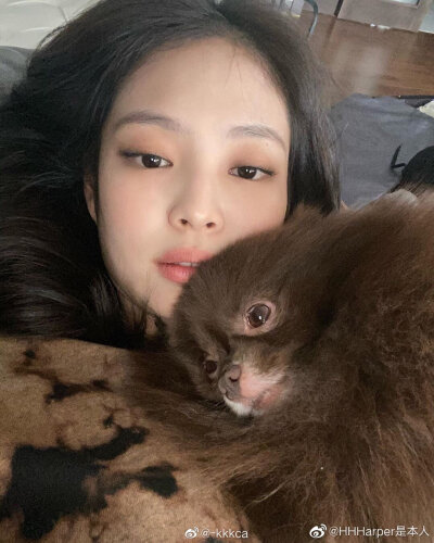 jennie的狗狗们 kuma kai