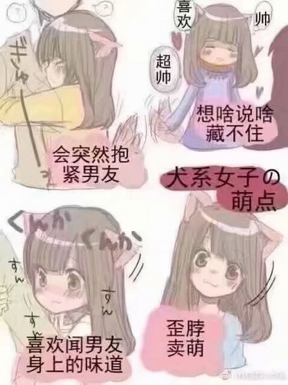 动物系女友