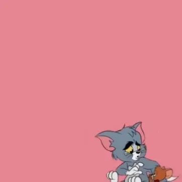 抖音图猫和老鼠 - 堆糖,美图壁纸兴趣社区