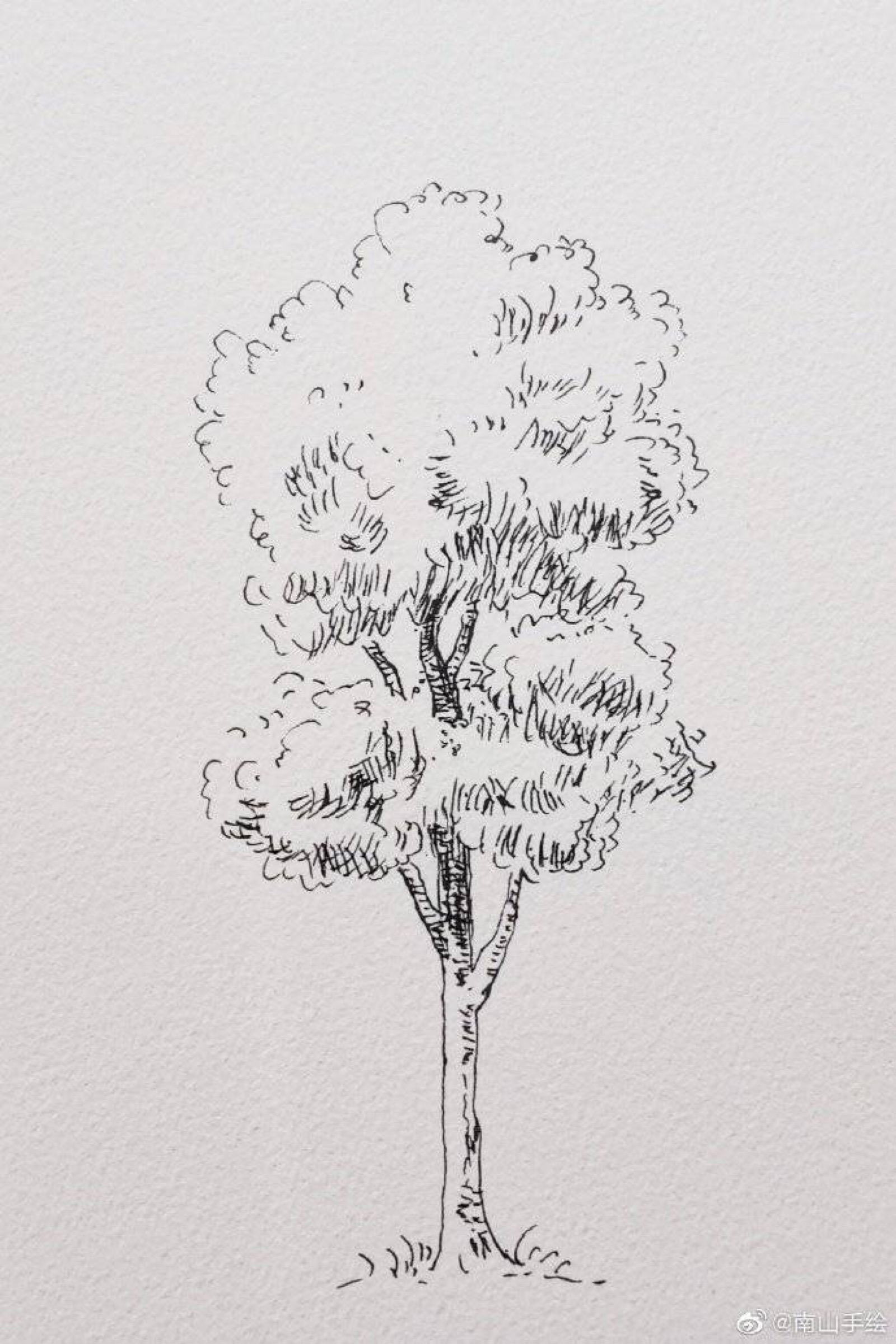 树|纯艺术|钢笔画|艺术爱好者Jam - 原创作品 - 站酷 (ZCOOL)