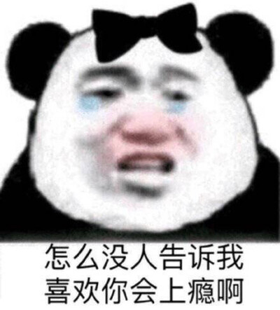 再也不愁夸人的时候没有合适的表情包了