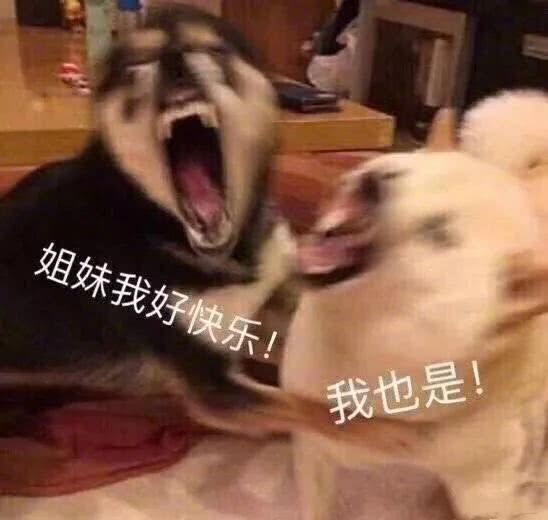 表情包嘿