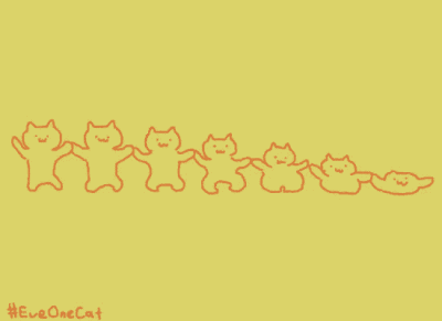 沙雕猫猫