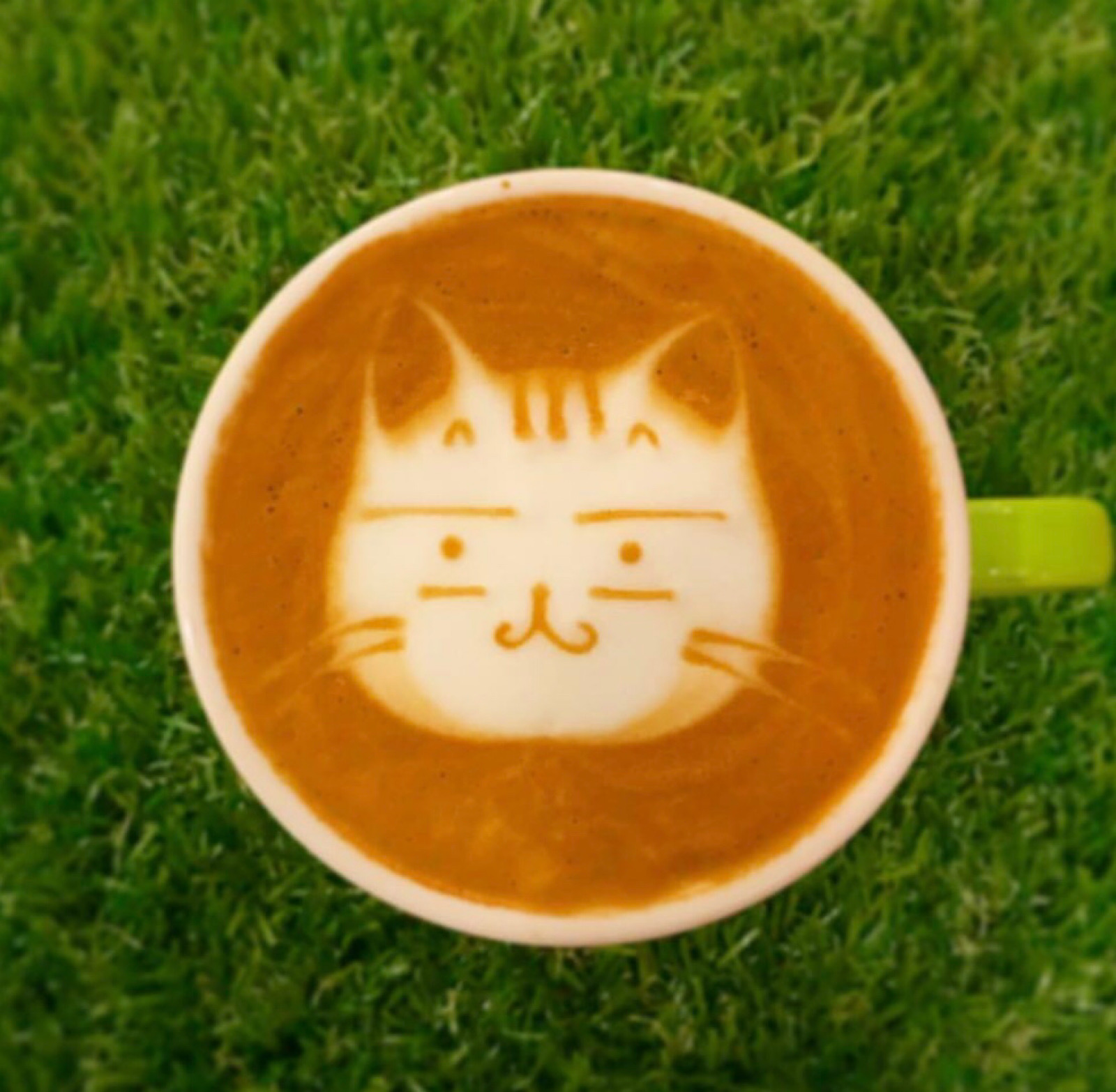 超可爱猫咪の咖啡拉花