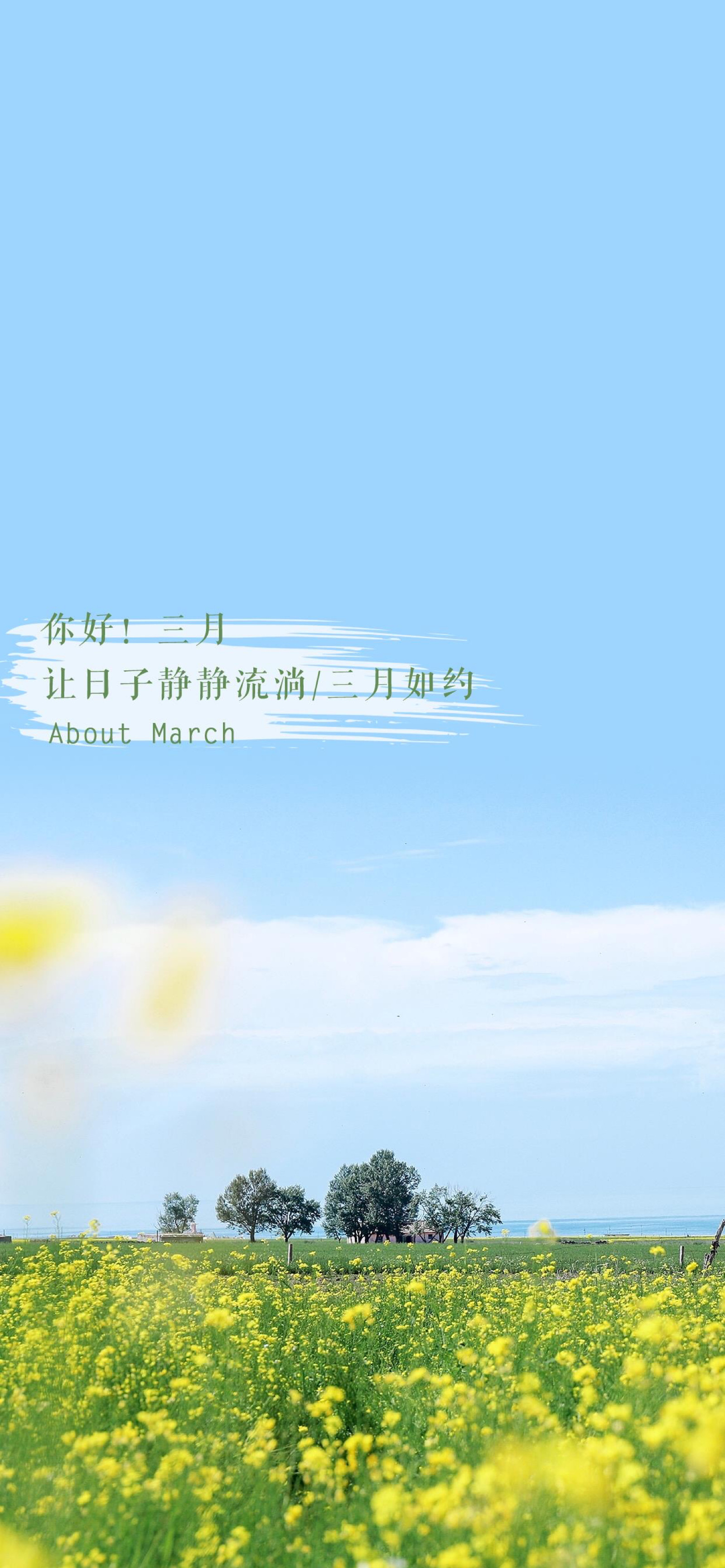 你好三月让日子静静流淌/三月如约… - 堆糖,美图壁纸