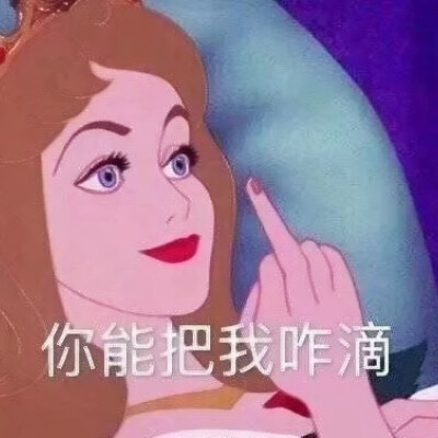 迪士尼公主 搞笑 表情包