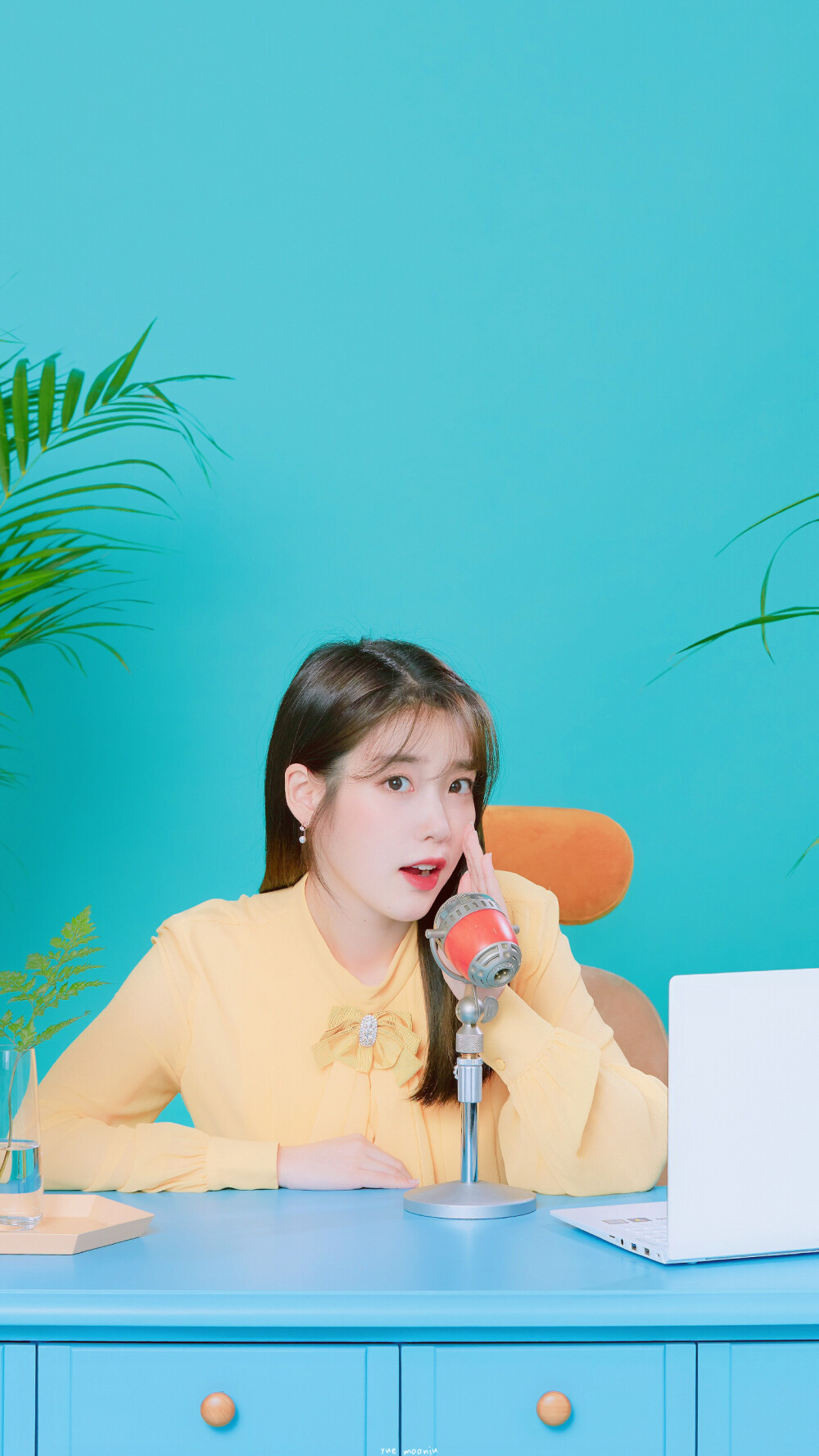 iu