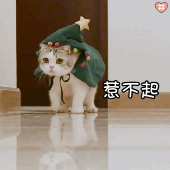 猫咪表情包动图小泡芙表情包动图