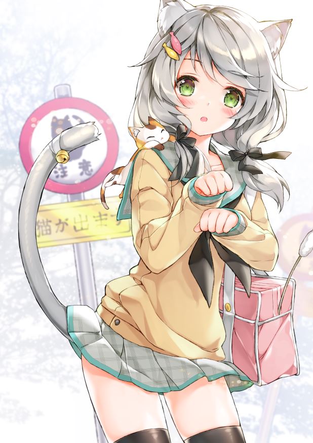 猫耳娘 