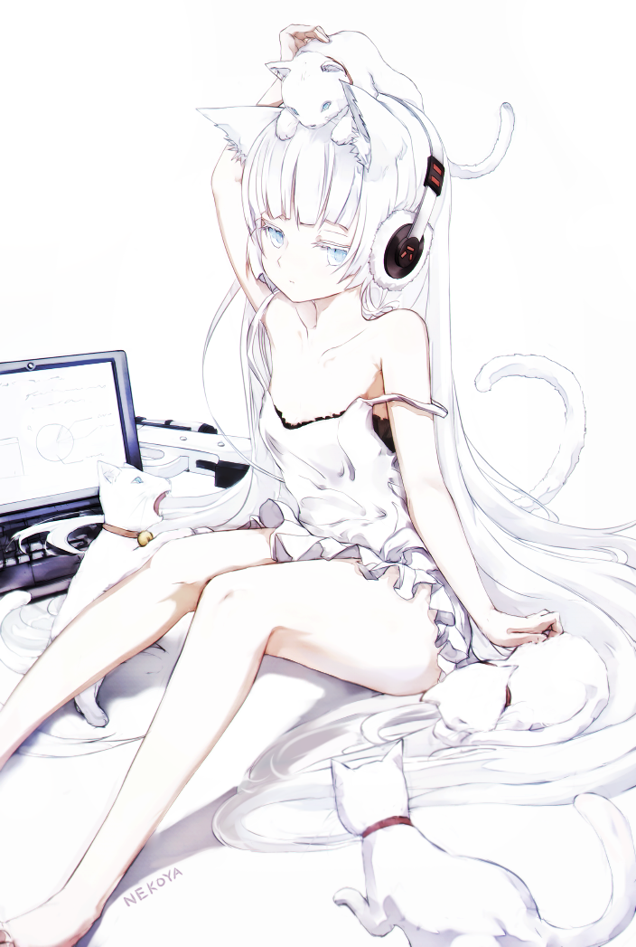 猫耳娘 