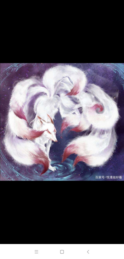 九尾白狐照片 - 堆糖,美图壁纸兴趣社区