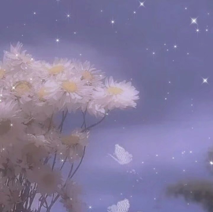 集美们,超好看的背景图拿图记得点赞o