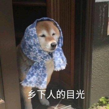 沙雕表情包 万能表情包 常用表情包 - 堆糖,美图壁纸