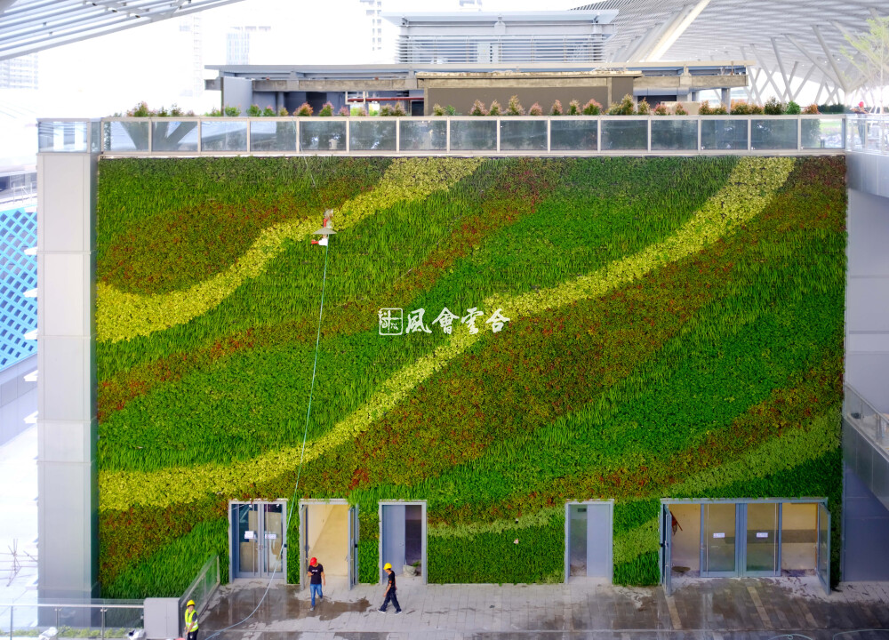 3月2日 15:36   关注  立体绿化 垂直绿化 植物墙