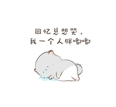 四毛八毛龙猫表情包