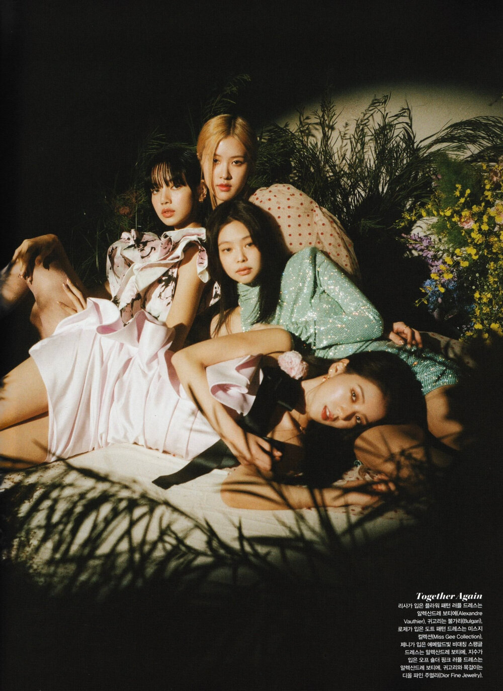 blackpink 金智秀 jennie金智妮rosé朴彩英 lisa