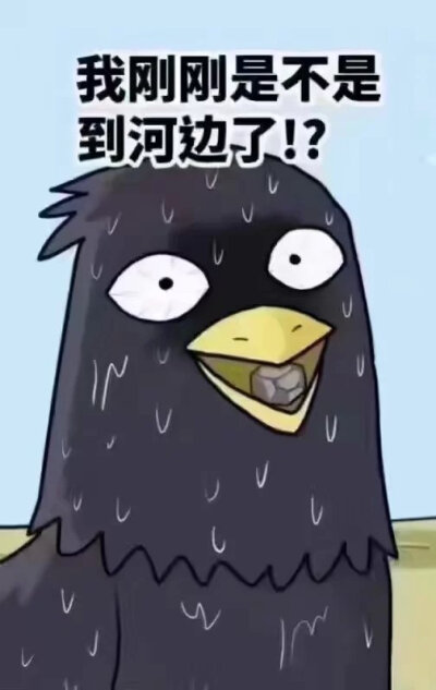 沙雕