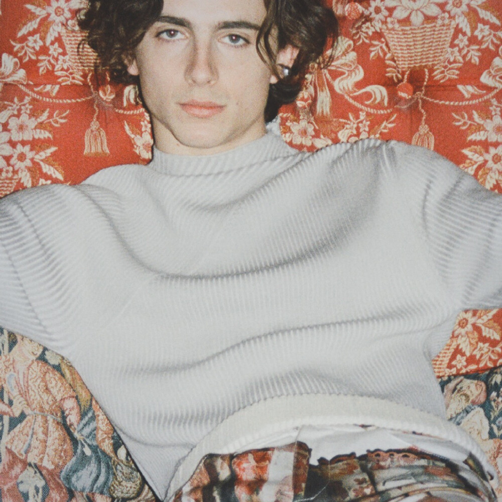 蒂莫西·柴勒梅德timothéechalamet(请以你的名字呼唤我)蒂莫西·柴