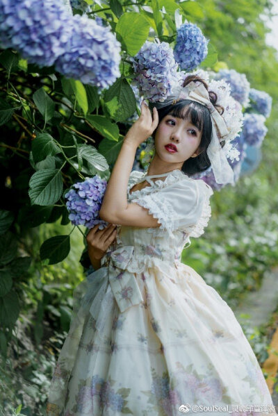 lolita小裙子 lo娘 洛丽塔 软妹 穿搭 lolita fashion紫阳花愿