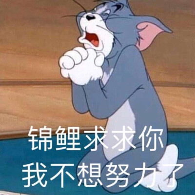 猫和老鼠表情包听说你拿图没点赞!噢不～真是可恶呢hhh