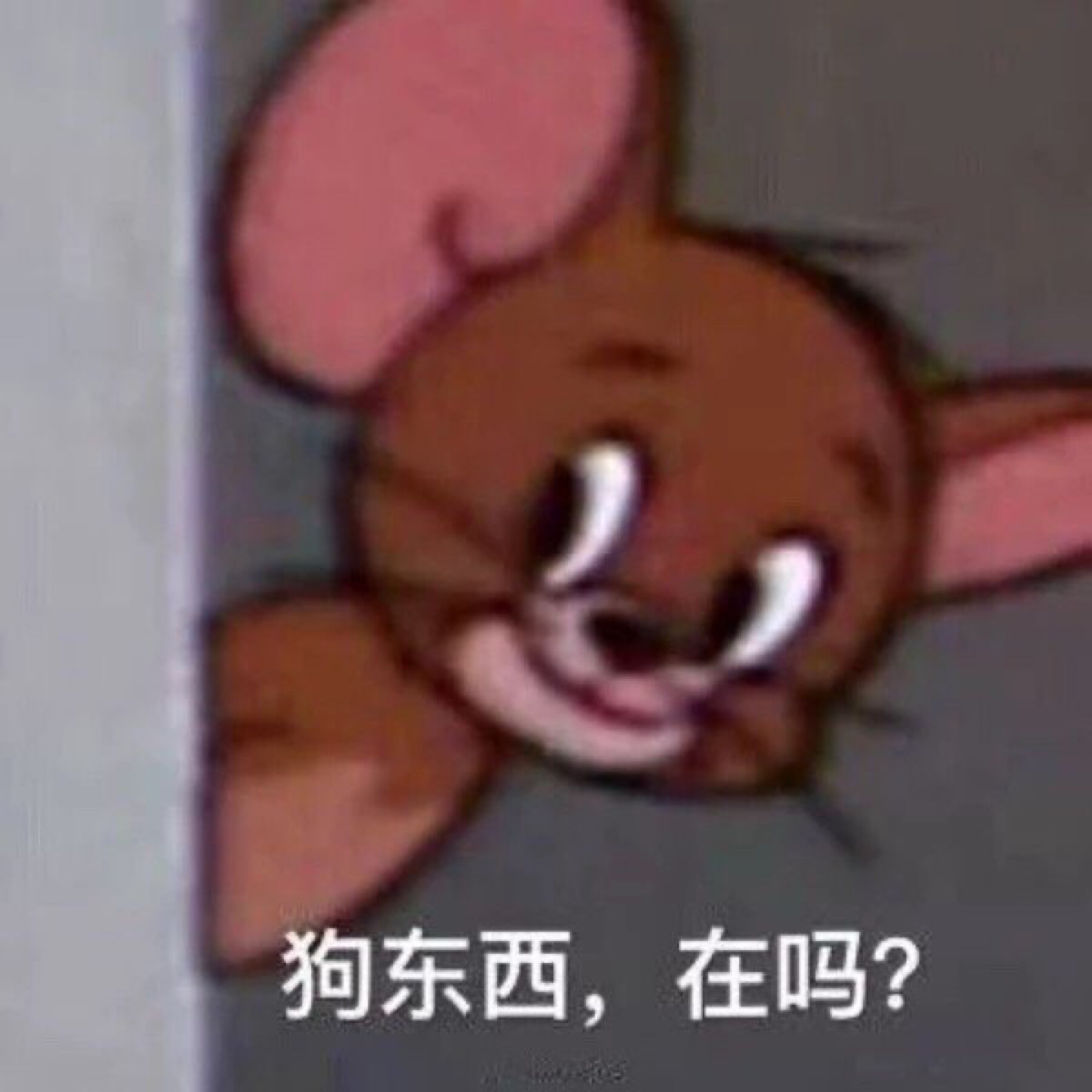 猫和老鼠表情包