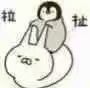 小企鹅可爱表情包