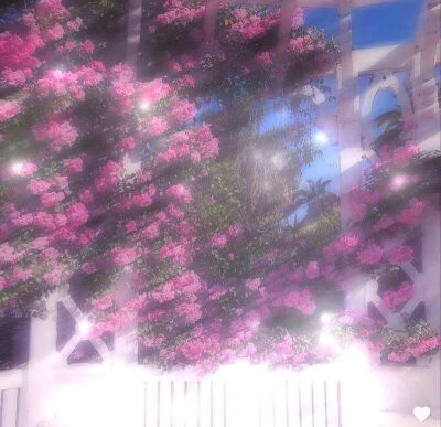 ins风背景图4(花)