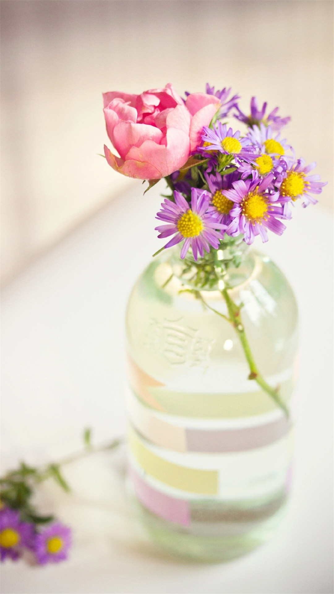 花瓶中的花卉静物图片手机壁纸