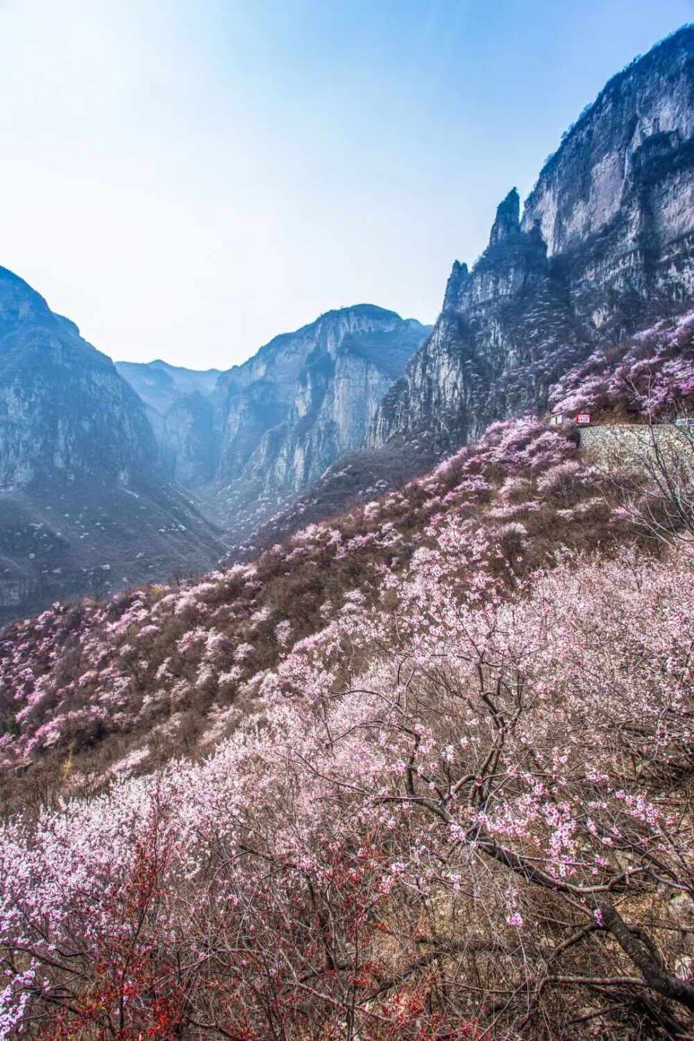 春 河南新乡南太行山春天 堆糖,美图壁纸兴趣社区