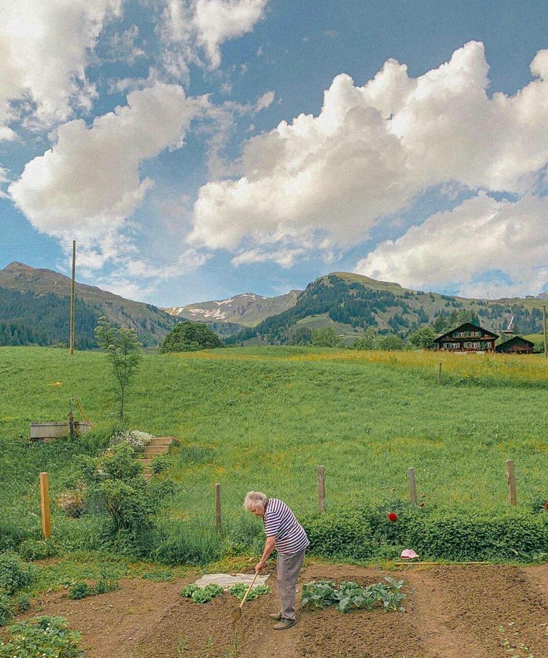 微信背景图,风景