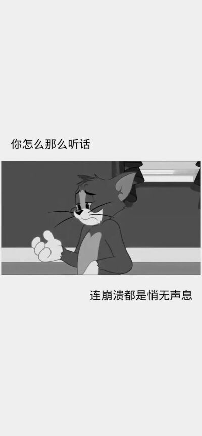 手机壁纸背景图猫和老鼠jerry and tom