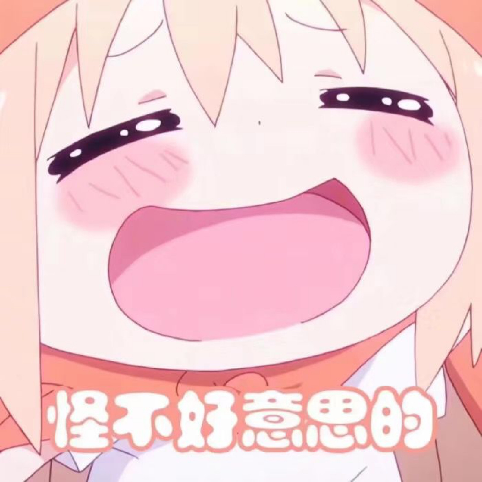 小埋的那些超可爱/我不太软