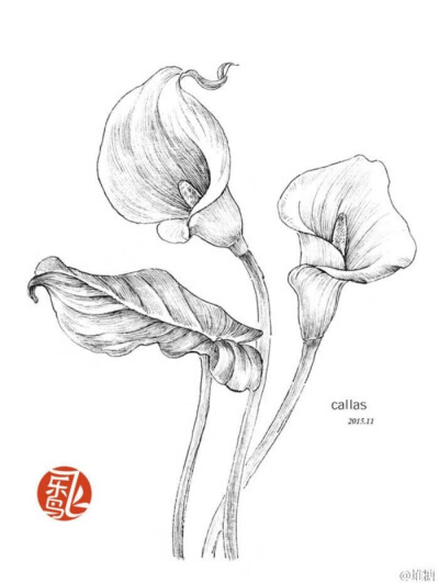 蘑菇屋 彩铅 素描