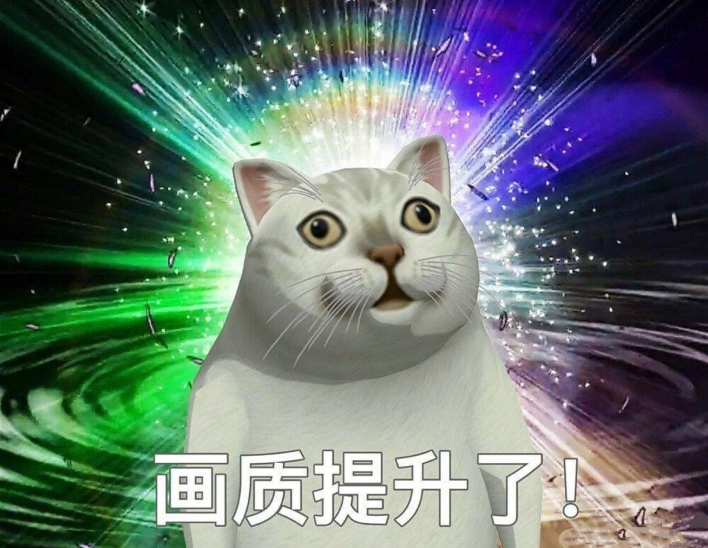 沙雕猫