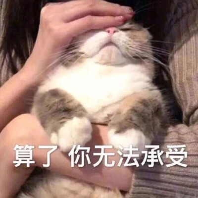 表情包拿图点赞
