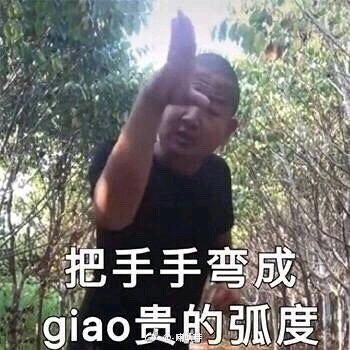 giao哥黑猫警长表情包