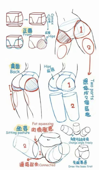 手绘教程人体胯部